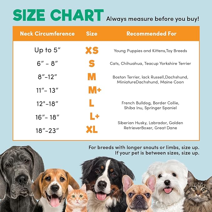 BENCMATE Inflatable Dog Cone Collar Alternative, Soft Dog Cone for Small Medium Large Dogs and Cats, Neck Recovery ECollar Donut Collar After Surgery (Medium, HeartShape)-PawvioPets