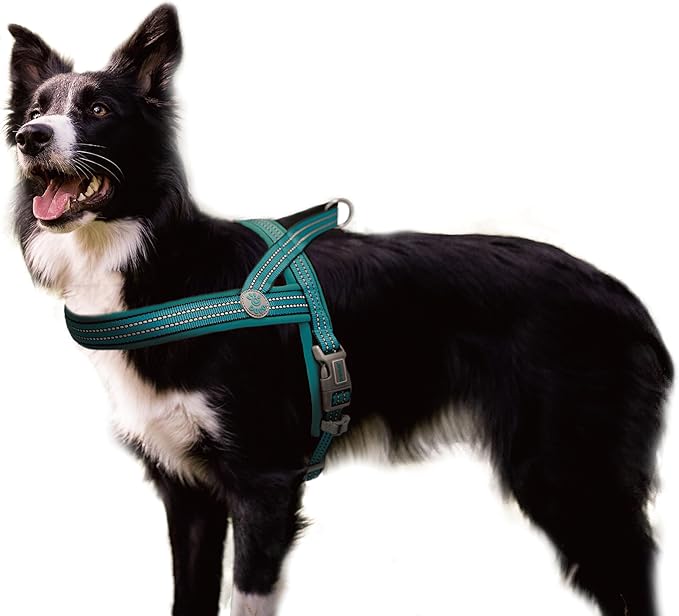DOCO No-Pull Dog Harness Halter Reflective Easy-Control Harness for Training, Walking, and Preventing Pulling, Ideal for Medium Dogs(Turquoise)-PawvioPets
