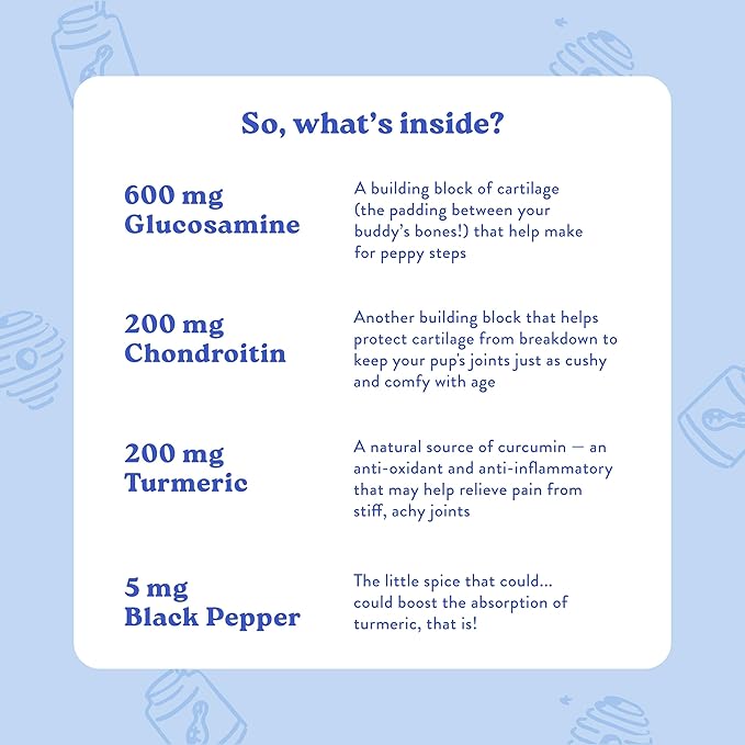 Bocce's Bakery Hip & Joint Supplement for Dogs, Daily Chews Made in The USA with Glucosamine, MSM, and Chondroitin, Supports Healthy Joints, Peanut Butter & Honey, 60 ct-PawvioPets