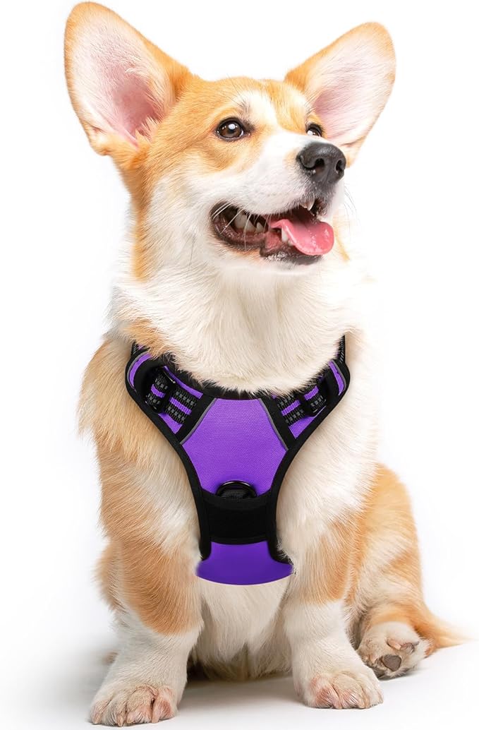 Eagloo Dog Harness Medium Sized Dog, No Pull Service Vest with Reflective Strips and Control Handle, Adjustable and Comfortable for Easy Walking, No Choke Pet Harness with 2 Metal Rings, Purple, M-PawvioPets
