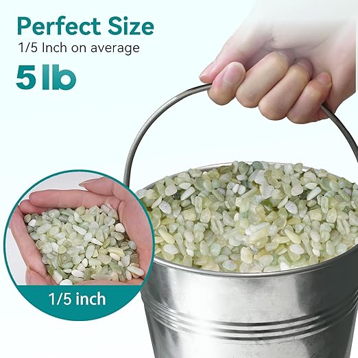 5 lbs Jade Pebbles for Indoor Plants, 1/5 Inch Succulent and Cactus Pebbles, Decorative Gravel for Vases, Bamboo,Terrarium, Crafts, Cactus-PawvioPets