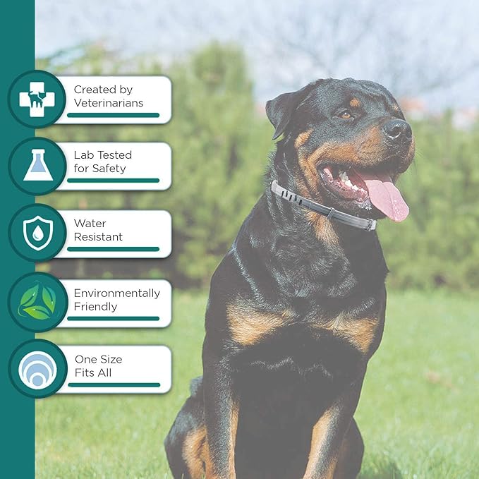 Flea and Tick Collar for Small Dog, Made with Natural Plant Based Essential Oil, Safe and Waterproof, Free Comb and Prevention Treatment Drop, 2x6 Month, 13.8 in (2 Packs)-PawvioPets