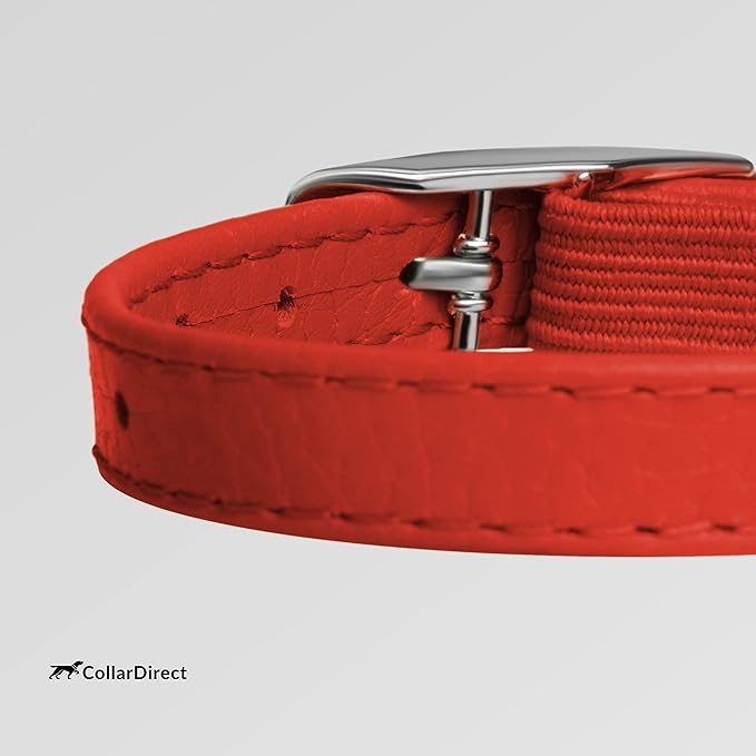 CollarDirect Leather Cat Collar, Kitten Collar with Removable Bell Black Blue Red Orange Lime Green (8-11 Inch, Red)-PawvioPets