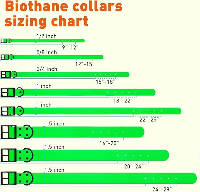 Dogline Biothane Waterproof Dog Collar Strong Coated Nylon Webbing with Black Hardware Odor- Proof for Easy Care Easy to Clean High Performance Fits Small Medium or Large Dogs, Tropical Green-PawvioPets