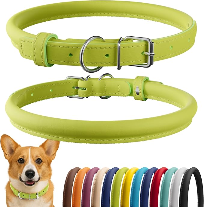 CollarDirect Rolled Leather Dog Collar, Soft Padded Round Puppy Collar, Handmade Genuine Leather Collar Dog Small Large Cat Collars 13 Colors (11-14 Inch, Lime Green Smooth)-PawvioPets
