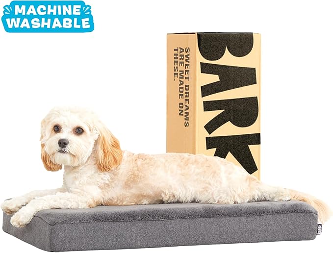 Barkbox Orthopedic Dog Bed with Memory Foam, Premium Comfort for Dogs and Puppies, Dog Bed for Joint Relief and Restful Sleep, Durable and Easy to Clean - Grey, Small-PawvioPets
