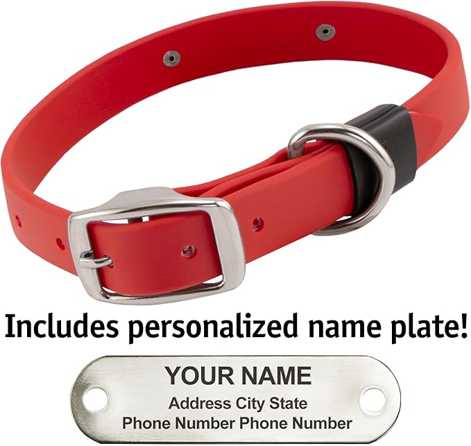Biothane Custom Dog Collar – Waterproof, Stink-Proof Personalized Collar with Name & Phone Number – Durable, Many Sizes and Colors – Assembled in USA (Cherry Red)-PawvioPets