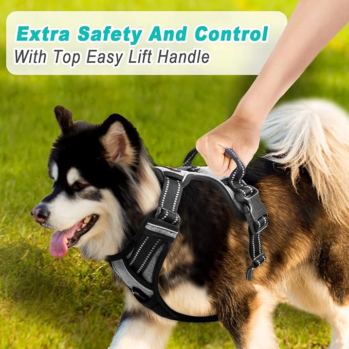 BARKBAY No Pull Dog Harness Large Step in Reflective Dog Harness with Front Clip and Easy Control Handle for Walking Training Running(Flint Gray,L)-PawvioPets