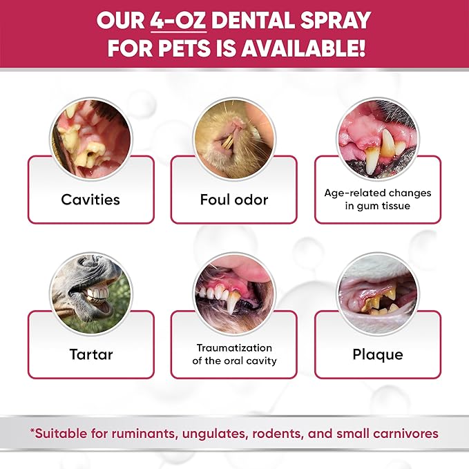 Dental Spray for Pets – Cat & Dog Breath Freshener That Helps with Tartar, Plaque, & Bad Odor – Silver 50 PPM + Valerian Flavour for Dog Teeth Cleaning – 4 Oz-PawvioPets