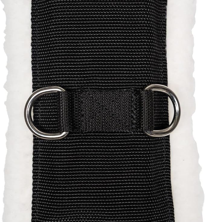 Dura-Tech Fleece Lined Training Surcingle for Horses | Essential for Lunging Work | Comfortable Fleece Lining | Durable Poly Material | Versatile D-Ring Placement | Suitable for All Training Levels-PawvioPets