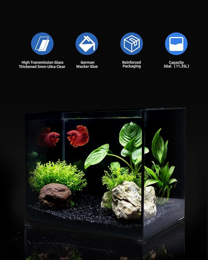 3 Gallon Clear Glass Fish Tank, Small Fish Tank Aquarium for Betta, Goldfish, Snail,Shrimp and Aquatic Planting-PawvioPets