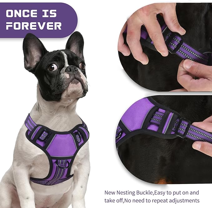 BUMBIN Dog Harness for Large Dogs, No Pull Adjustable No Choke Pet Vest with Dog Leash Fit Smart Reflective Pet Walking Harness for Training Easy Control Soft Handle Purple S-PawvioPets