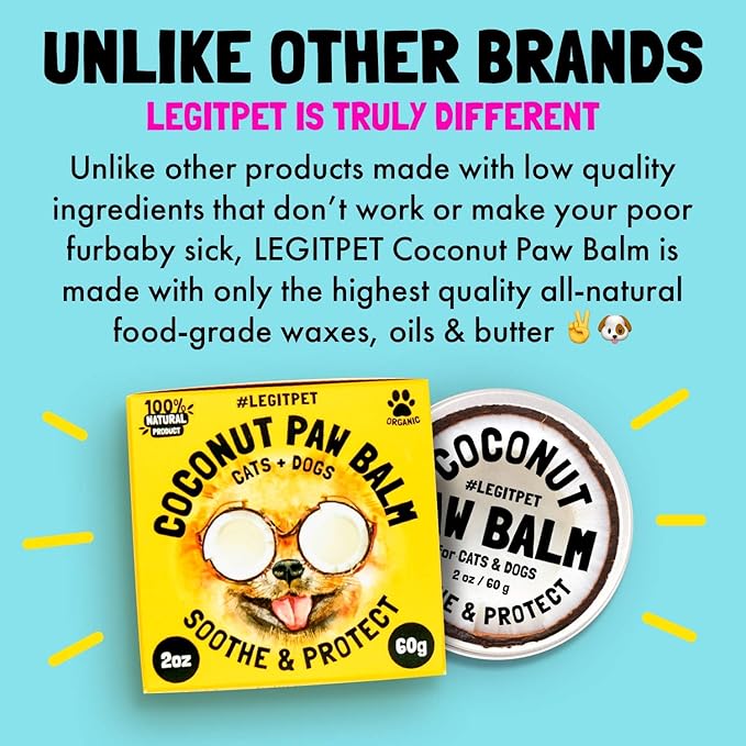 Coconut Paw Balm for Dogs by legitpet-PawvioPets
