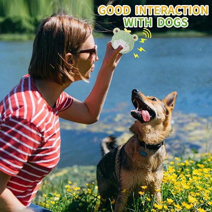 DKING 3Pack Squeaky Dog Balls,2 in1 Funny Puppy Ball Toys,Birthday Dog Toy for Small Medium Dogs (Farm Ball)-PawvioPets