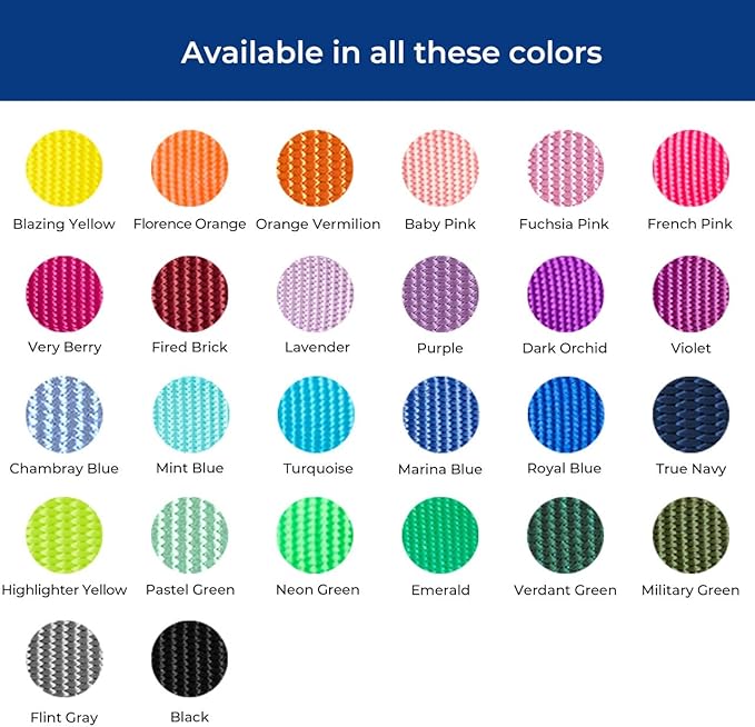 Blueberry Pet Essentials X-Small Dog Collar in Black | Adjustable & Eco-Friendly Durable Nylon Strap | Classic Collar for X-Small Dogs, Boy & Girl Pets-PawvioPets