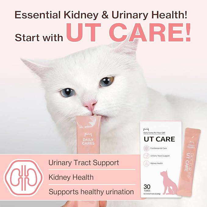 Dr.by UT Care Cat UTI Kidney Support Urinary Supplement Cranberry Treatment for Cats Renal Health with Pacran, Quercetin, Taurine lickable Formula Individually Packaged (1 Pack)-PawvioPets