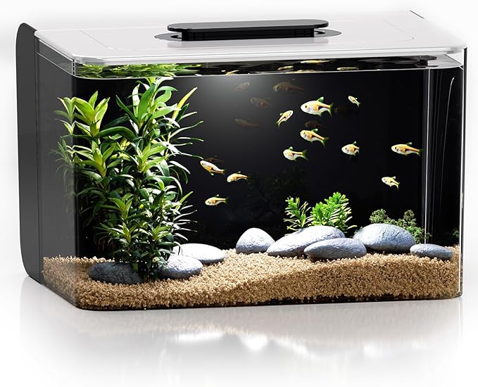 Betta Fish Tank, 2.5 Gallon Aquarium Kit with Filter, Light, Self Cleaning, Oxygenation, Small All in One Starter Fish Tank for Goldfish, Guppy, Shrimp, Desktop, Acrylic-PawvioPets