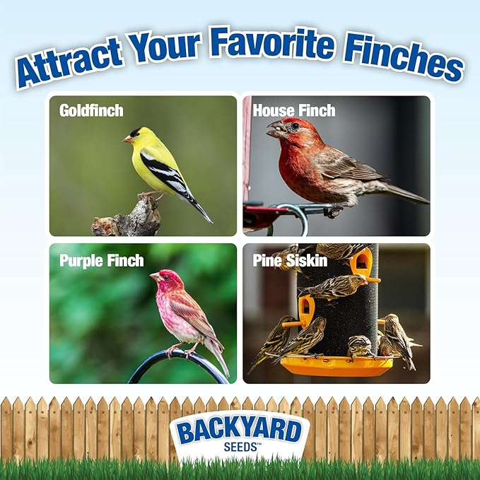 CountryMax Backyard Seeds Finch & Small Songbird Frenzy Wild Bird Seed Mix – 5 lb Bag | Premium Blend with Nyjer, Millet, Sunflower Chips | Attracts Goldfinches, House Finches, Chickadees-PawvioPets