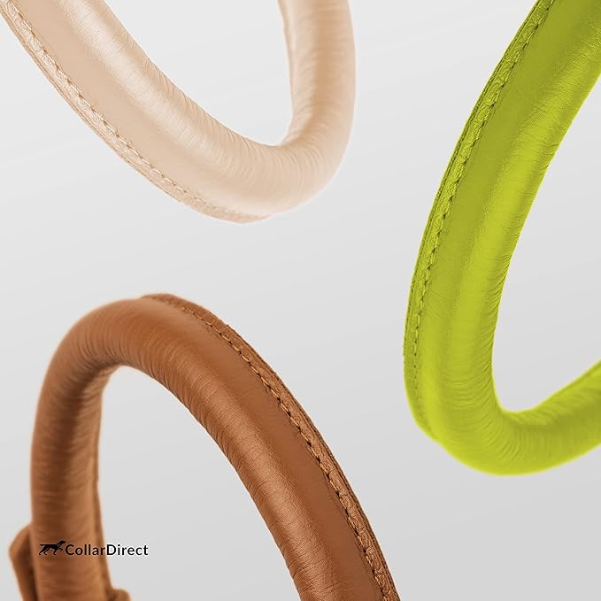 CollarDirect Rolled Leather Dog Collar, Soft Padded Round Puppy Collar, Handmade Genuine Leather Collar Dog Small Large Cat Collars 13 Colors (13-16 Inch, Lime Green Textured)-PawvioPets
