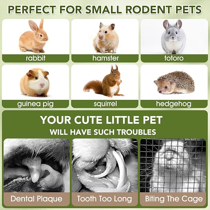 12PCS Rabbit Chew Sticks, Hanging Chew Sticks & Cakes Timothy Hay Rose Chrysanthemum Treat for Bunny Chinchilla Guinea Pig Hamster and Other Small Pets Molar Snack Toy-PawvioPets