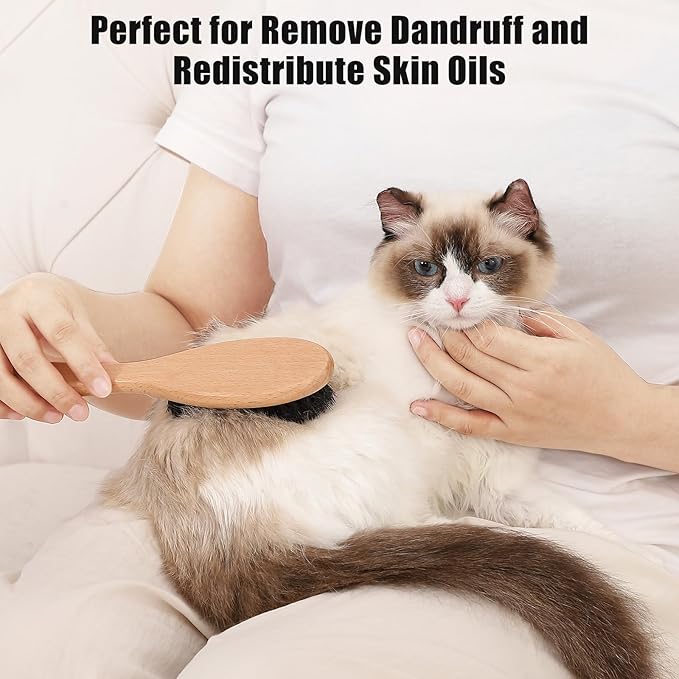 Boar Bristle Cat Brush with Wooden Handle, Soft and Gentle, Reduce Shedding, Make Coat Soft, Smooth and Shinny, Daily Grooming Tool for Short Haired Cats, Kitten-PawvioPets
