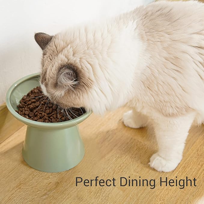 Extra Wide Elevated Ceramic Cat Food Bowl - 6.2" Shallow Dish for Whisker Fatigue Relief, 5" Height for Easy Feeding, Lead & Cadmium Free, Durable Raised Cat Food Bowls, Sage Green-PawvioPets