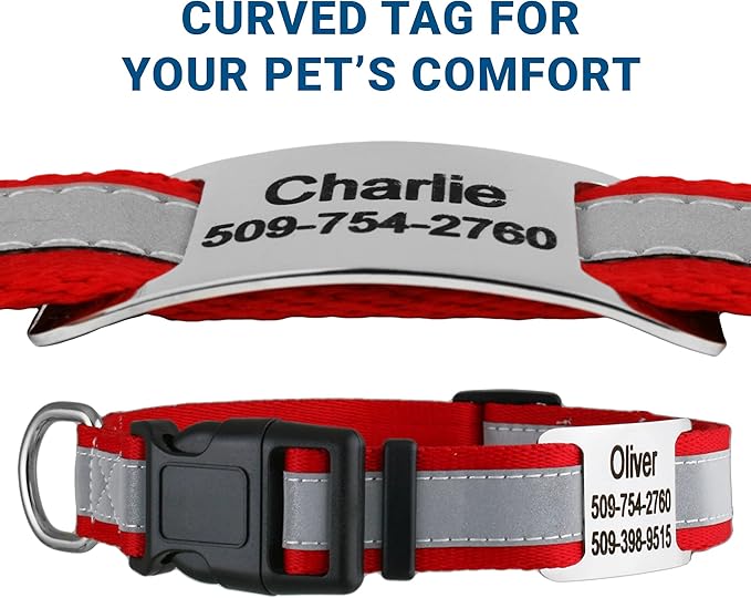 GoTags Reflective Personalized Dog Collar with Nameplate, Adjustable Dog Collar with Custom Engraved Steel Slide On Pet ID Tag, Silent, No Noise Dog Tag for Large Medium or Small (Red, Small)-PawvioPets