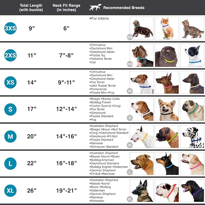 CollarDirect Rolled Leather Dog Collar, Soft Padded Round Puppy Collar, Handmade Genuine Leather Collar Dog Small Large Cat Collars 13 Colors (13-16 Inch, Light Blue Textured)-PawvioPets