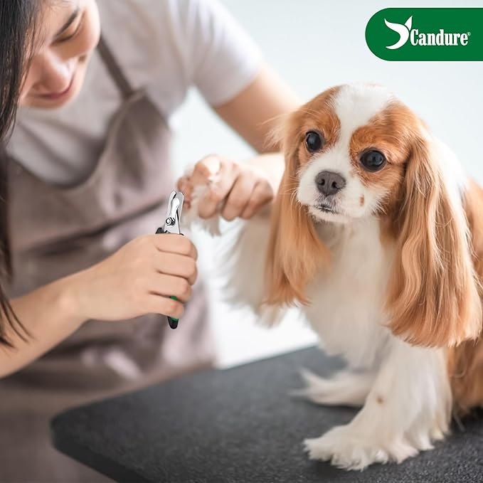 Candure Dog Nail Clippers Professional Pet Nail Clipper Suitable for Cats, Rabbits and Guinea Pigs - Safety Lock/Protective Guard to Avoid Over Cutting (Green, Medium to Small)-PawvioPets
