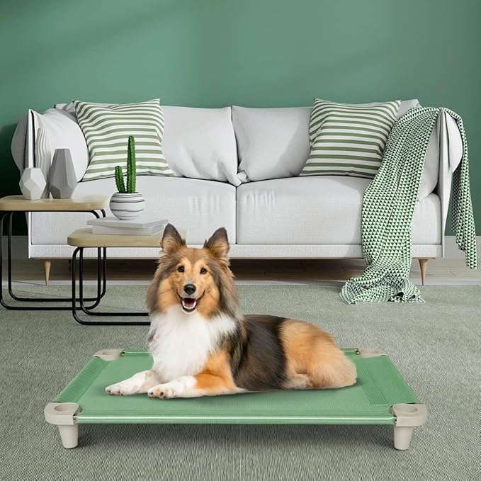Acrimet Cooling Elevated Pet Dog Bed, Washable and Breathable Mesh Cot, Stainless Steel Frame, Indoor & Outdoor Use, fits Dogs up to 110 lbs (Size: 40” x 24”), Green, 1 Unit-PawvioPets