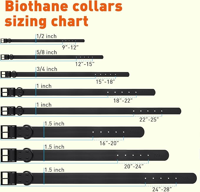 Dogline Biothane Waterproof Dog Collar Strong Coated Nylon Webbing with Black Hardware Odor- Proof for Easy Care Easy to Clean High Performance Fits Small Medium or Large Dogs, Black-PawvioPets