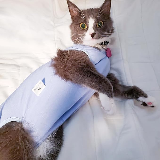 DOTON Cat Recovery Suit for Male and Female Surgical Post Surgery Soft Cone Onesie Shirt Clothes Neuter Licking Protective Diapers Outfit Cover Kitten Spay Collar(S, Blue)-PawvioPets