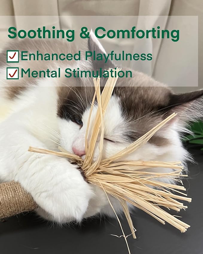 14.96 Inches Huge Silvervine Sticks Cat Toys, Large Natural Catnip Kittens Chew Toy for Teeth Cleaning,Big Catmint Blend Stick, Dental Kitty Chews for Indoor(2 Pack)-PawvioPets