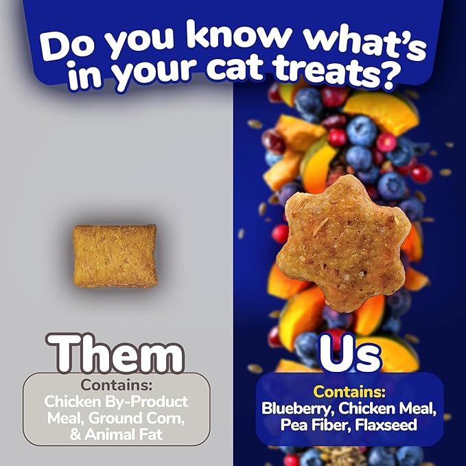 Fruitables Crunchy Low Calorie Treats Packed with Protein For Cats Healthy Free of Wheat, Corn and Soy – Made with Real Chicken with Blueberry – 2.5 Ounces-PawvioPets