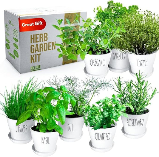 Deluxe Indoor & Outdoor Herb Garden Kit – 8 or The Most Popular Culinary Herbs with Pots & Soil for Windowsill or Patio Growing-PawvioPets