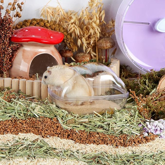 BUCATSTATE Hamster Sand Bath Container Large Hamster Toilet with Scoop Set Dust Bust Accessories for Small Animals (Transparent, Medium)-PawvioPets
