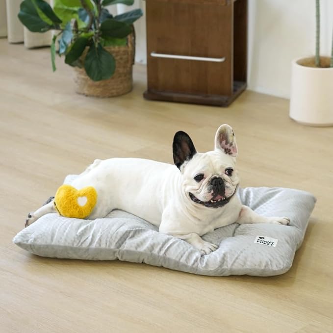 FUNNY FUZZY 2 in 1 Dog Bed Crate Pad Mat, Washable Reversible Floor Sleeping Mats,Fluffy Kennel Pad for Medium Sized Dog,Indoor Cats,Sleeping Mattress, 29.9" × 18.9", Light Grey-PawvioPets