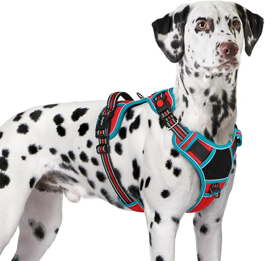 Eagloo Dog Harness for Large Dogs, Easy Wearing with 3 Buckles, Adjustable No Pull Pet Harness with 2 Rings for Walking, No Chock Reflective Soft Padded Vest with Control Handle, Red & Teal, XL-PawvioPets