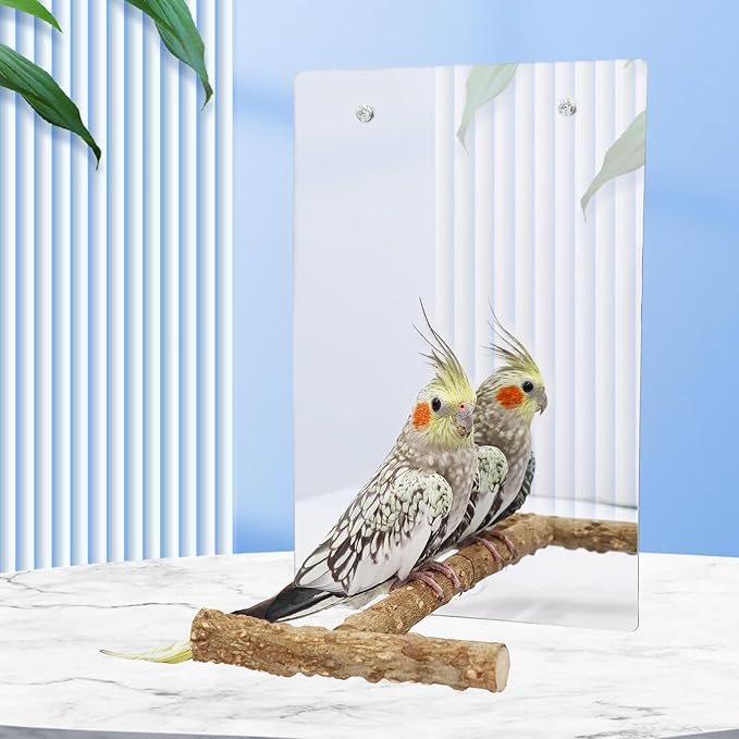 Bird Mirror Toy with Perch Stand, Parrot Parakeet Mirror with Bird Swing Bell Toys, Bird Cage Accessories, Suitable for Parakeet Cockatiel Conure Lovebirds - 7.9 × 6.3 Inch-PawvioPets