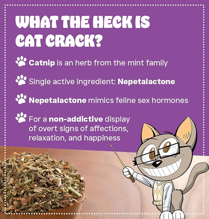 Cat Crack Catnip 1 Cup Bundled with Organic Catnip 1 Cup, Premium Blend Safe for Cats, Infused with Maximum Potency Your Kitty is Sure to Go Crazy-PawvioPets