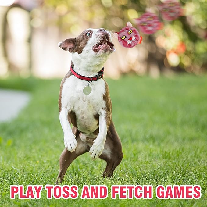 DKING 3Pack Squeaky Dog Balls,2 in1 Funny Puppy Ball Toys,Birthday Dog Toy for Small Medium Dogs (Animal Ball)-PawvioPets