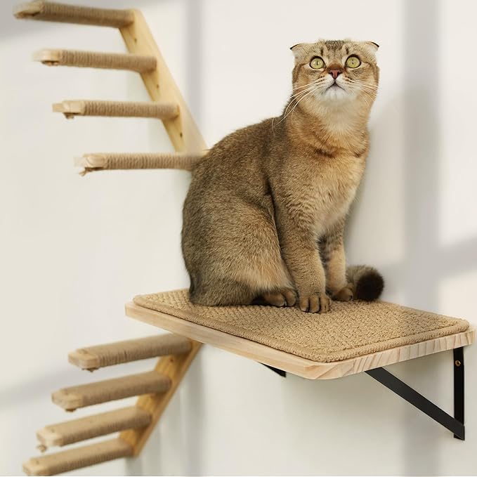 Cat Floating Wall Shelf with Scratching Mat, 1PC 9.7X16.6 Inch Large 1 Inch Thick Wood Cat Window Perches Hanging Shelves Wall Mounted Beds for Sleeping, Playing, Climbing, Support to 30 LBS-PawvioPets