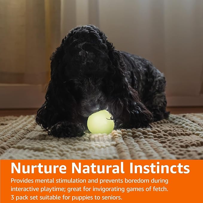 Amazon Basics Dog Toys, Interactive Glow Rubber Balls, (Pack of 3), 2.5 inch, Beige-PawvioPets