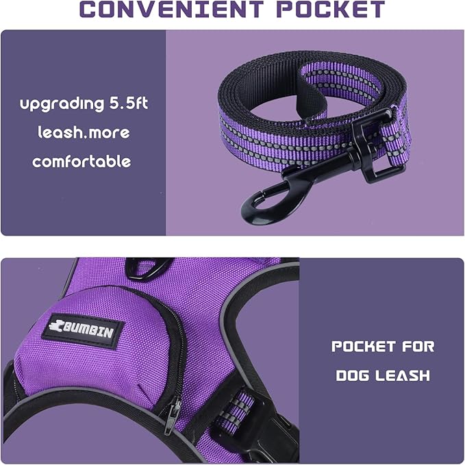 BUMBIN Dog Harness for Large Dogs, No Pull Adjustable No Choke Pet Vest with Dog Leash Fit Smart Reflective Pet Walking Harness for Training Easy Control Soft Handle Purple S-PawvioPets