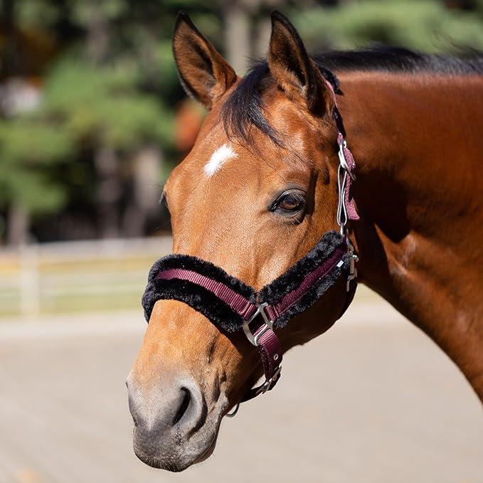 Equinavia Valkyrie Soft Ultra Fleece Padded Adjustable Breakaway Horse Halter - Wine Red/Black - Horse-PawvioPets