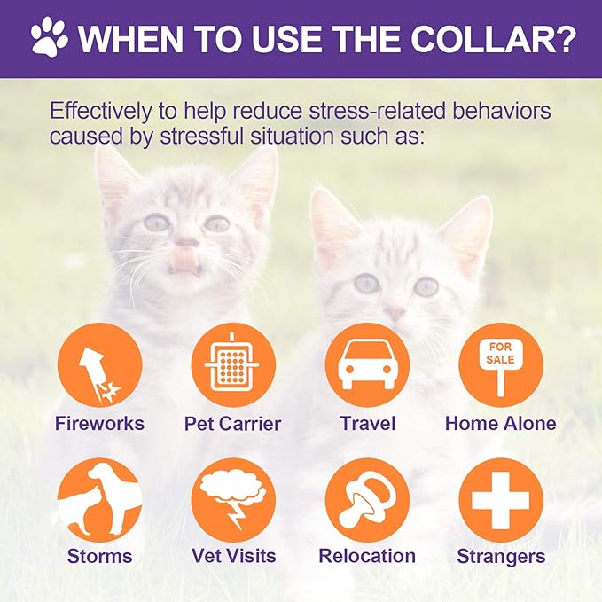 4 Pcs Cat Calming Collar Adjustable Lavender Scent Relaxing Cat Collar with 2 Pendant for Puppies Reduce Stress Aggression Anxious, up to 15 Inches(Purple, Gold)-PawvioPets