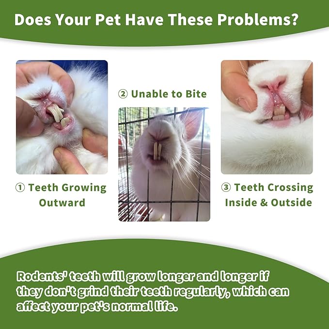 Fhiny Rabbit Chew Toys, 6 PCS 3.9" Natural Papaya Wood Chew Sticks Guinea Pig Treats for Dental Care Bunny Treats for Rabbits Small Pet Molar Snacks for Bunny Guinea Pig Chinchilla Hamster Gerbil-PawvioPets