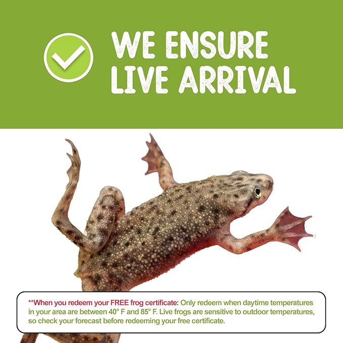 African Dwarf Frog Starter Kit- Includes Certificate for 2 Live Frogs- All-in-One Bundle with Book, Small Aquarium, Food, Instructions Now-PawvioPets