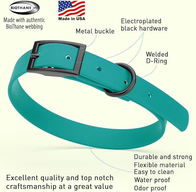 Dogline Biothane Waterproof Dog Collar Strong Coated Nylon Webbing with Black Hardware Odor- Proof for Easy Care Easy to Clean High Performance Fits Small Medium or Large Dogs, Blue Aqua-PawvioPets