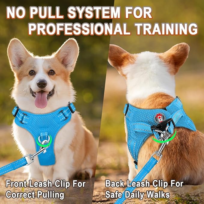BARKBAY Dog Harness, Reflective Adjustable Puppy No Pull Harness, Breathable Soft, Blue, XXS-PawvioPets